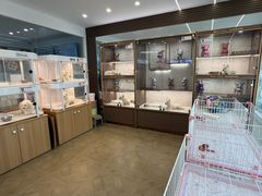 -翊宠yipet猫狗购宠庄园犬舍•猫舍