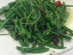 -飞鹿餐饮·陕南菜(北关店)