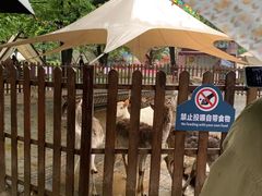 -西安秦岭野生动物园