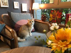 -咖法森林·咖啡  酒吧(天河店)