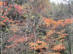 -本溪老边沟风景区
