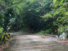 -海南热带雨林国家公园吊罗山景区