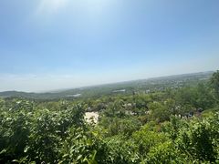 -牛首山文化旅游区