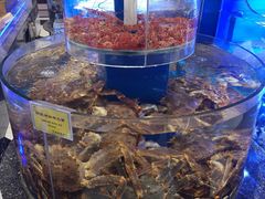 水产区-新海渔港·胶东海鲜家常菜·家宴(奥体中心店)