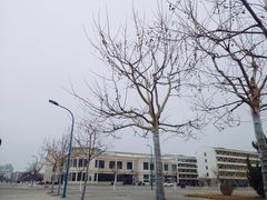 -南开大学滨海学院