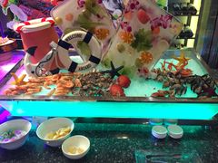 海鲜区-马哥孛罗酒店·SAVVY全日餐厅