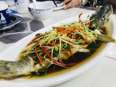 -煲来饱去冷水鱼