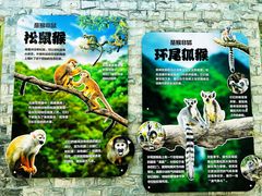 -成都动物园