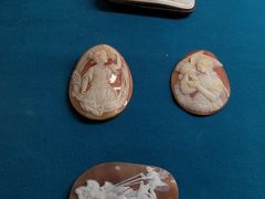 -青岛贝壳博物馆