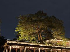 -荔湾湖公园