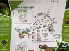 -野象谷景区