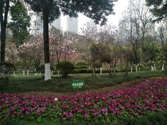 -龙头寺公园