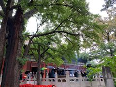 -红螺寺
