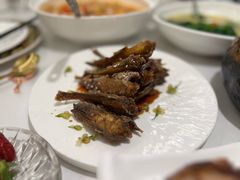 -羲和雅苑•北京烤鸭(国贸商城店)