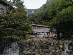 -黄山排云型旅酒店餐厅