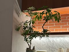 -漢舍中国菜馆(浦东嘉里城店)