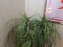 -君之悦·影院式足道·养生SPA(回兴店)