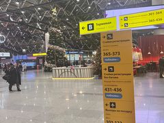 -谢列梅捷沃国际机场