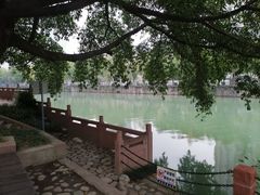 -成都市活水公园