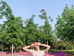 -长春公园(普阳街道)