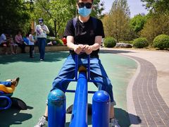 -永定河休闲森林公园