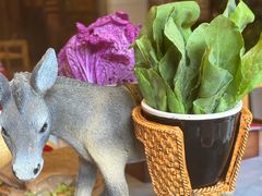 -慢丽江·云南野生菌土鸡锅(付家庄店)