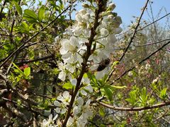 -风云岭森林公园