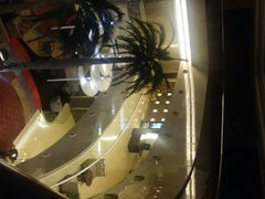 android_upload_pic-北京丽亭华苑酒店