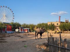 -包头古城文化旅游区
