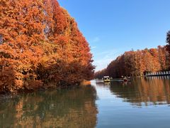 -上海海湾国家森林公园