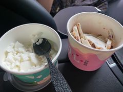 椰子冰-初心炒酸奶(厚德品园店)