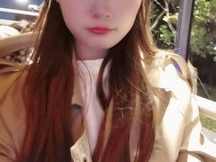 -BUS TOUR观光巴士