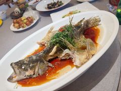 -花家怡园(四合院总店)