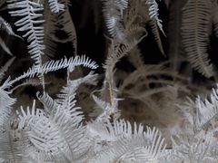 -成都许燎源现代设计艺术博物馆