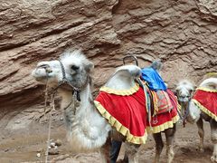 -天山神秘大峡谷