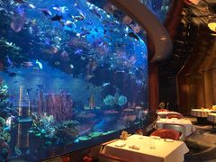 -迪拜帆船酒店海底餐厅