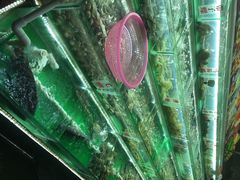 长青路覃记海鲜炒菜烧烤(四川重庆)-覃记海鲜美食餐厅