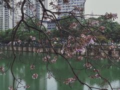 -红星桥(地铁站)