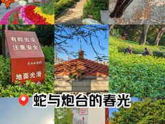 -炮台山公园
