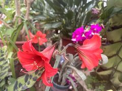 -国家植物园南园