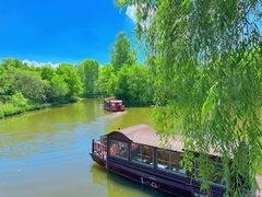 -溱湖国家湿地公园