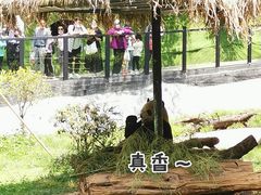 -云南野生动物园
