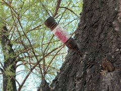 -武清南湖绿博园