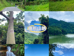 -阳台山森林公园