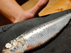 -银座岩