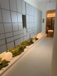 -苑苑vbeauty科技美容SPA