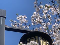 -苏州上方山国家森林公园