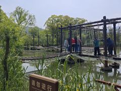 -长兴太湖图影湿地文化园