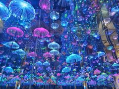-梵高星空艺术馆(北京旗舰店)