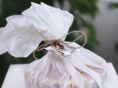 -可丽可丽·生日蛋糕·下午茶